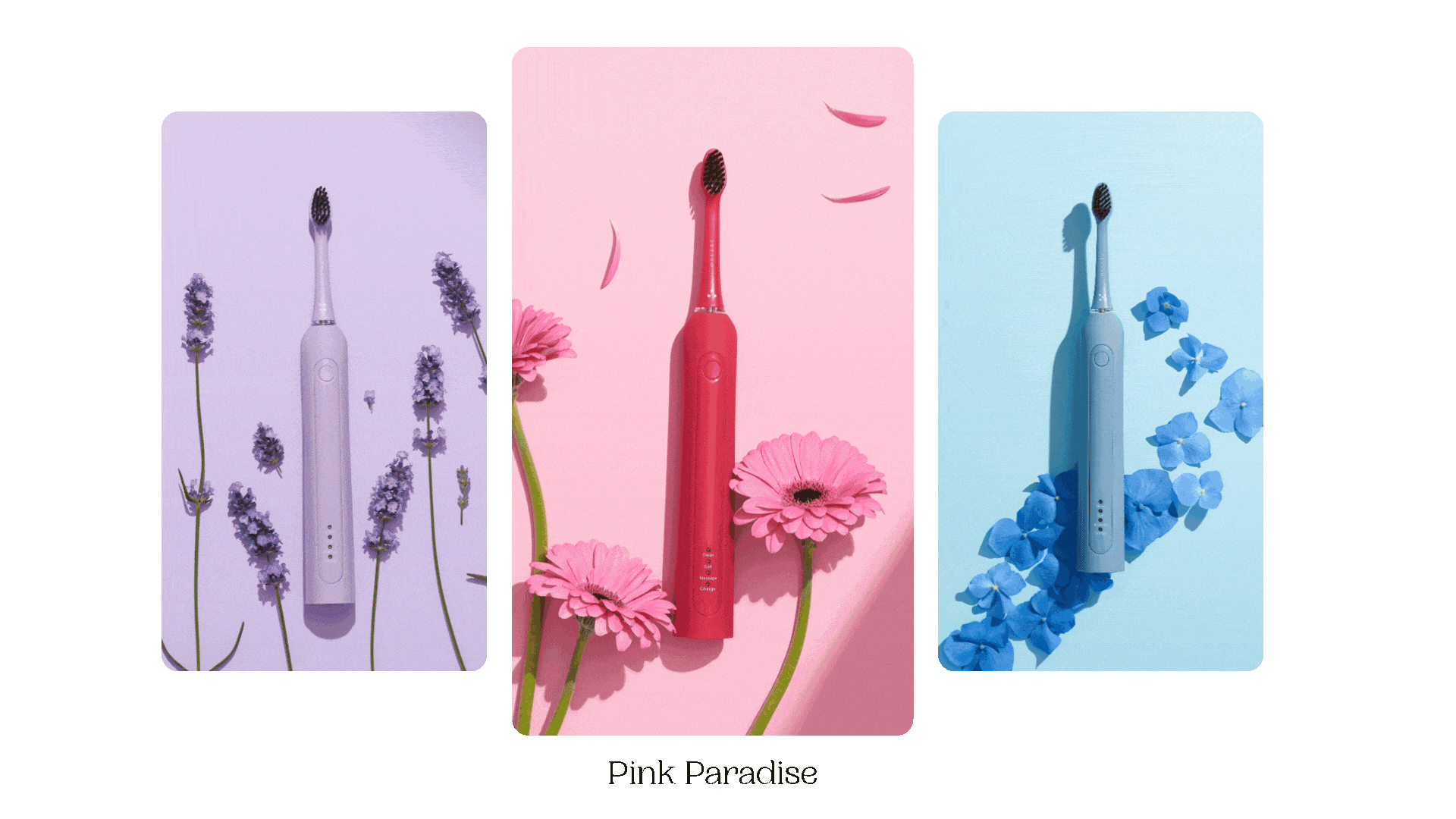 Animowany gif prezentujący kolory szczoteczek SEYSSO Basic Color