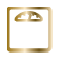 Ikona